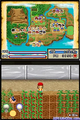 Image n° 3 - screenshots : Mokjang Iyagi - Farm Isle Ver. 2